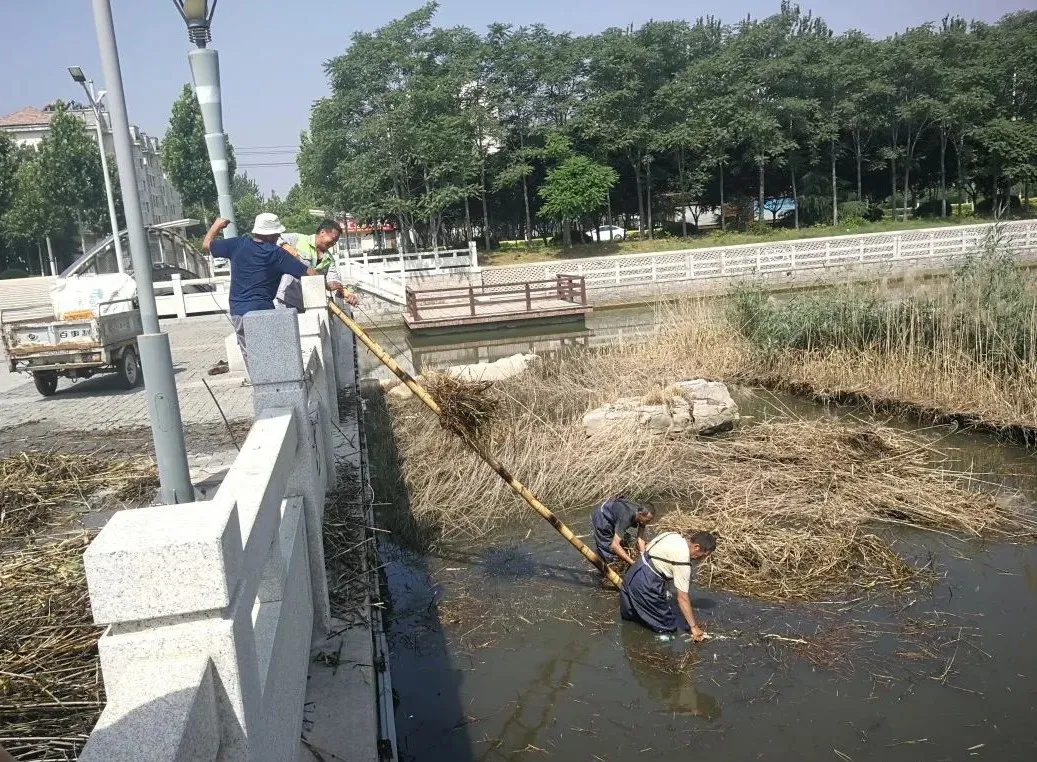 圖片 圖片